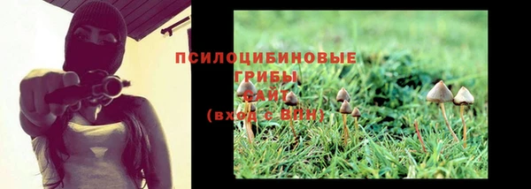 амф Алзамай