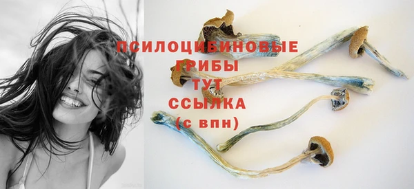 амф Алзамай