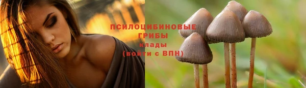 амф Алзамай