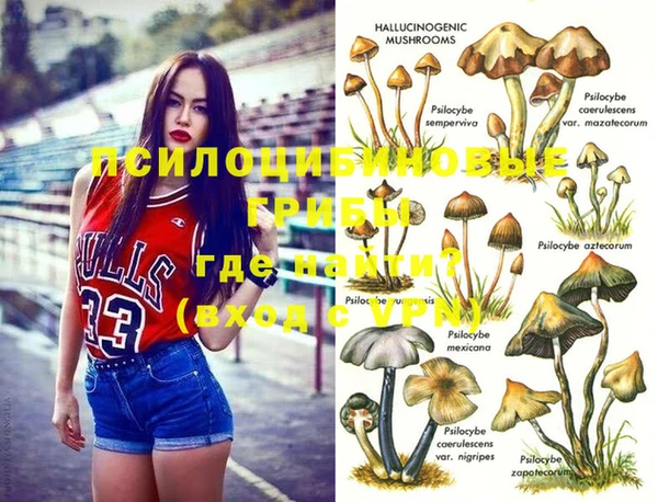 индика Алексин