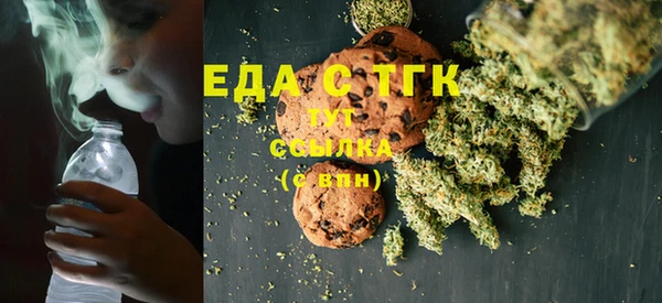 индика Алексин