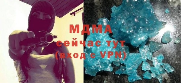 индика Алексин