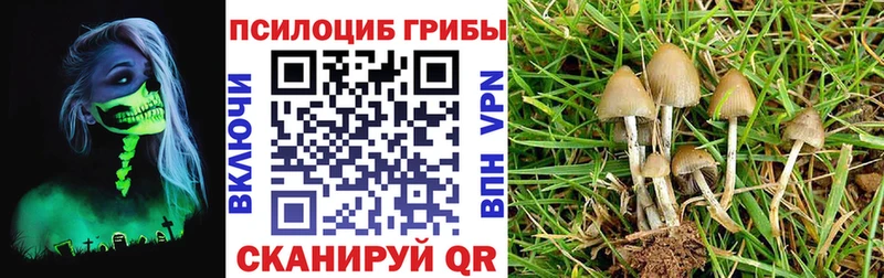 как найти наркотики  маркетплейс Telegram  Галлюциногенные грибы GOLDEN TEACHER  Красногорск 